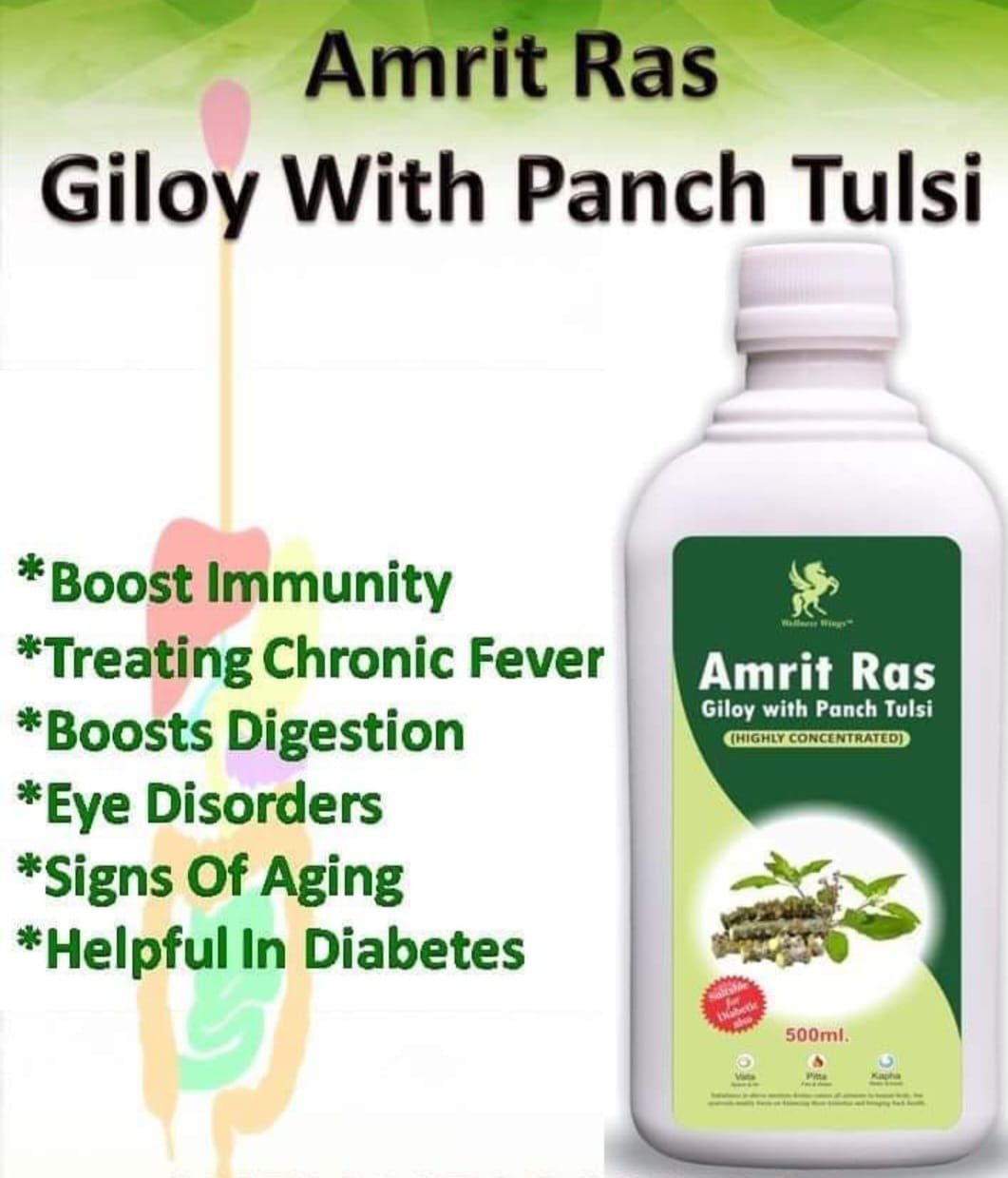 Nandani Healthcare | Trusted Ayurvedic Food Supplements for Natural Wellness